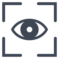 The Iris Recognition